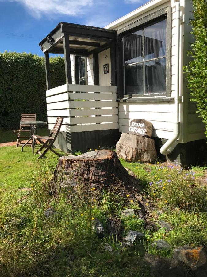 Stump Cottage Lumsden Dış mekan fotoğraf